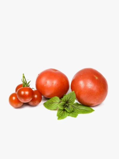 Tomato